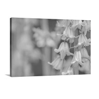 Bluebells In Abstract Wall Art - Canvas - Gallery Wrap
