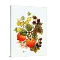 Brambles Apples And Grapes Wall Art - Canvas - Gallery Wrap