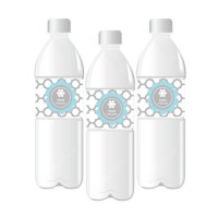 Personalized Winter Wonderland Party Water Bottle Labels - 24 Pieces
