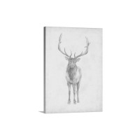 Elk Study Wall Art - Canvas - Gallery Wrap