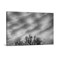 Home to Roost Wall Art - Canvas - Gallery Wrap
