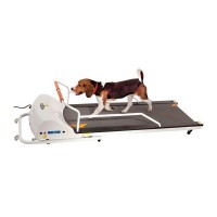 PetRun PR720F Dog Treadmill