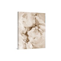Cotton Candy l l Wall Art - Canvas - Gallery Wrap