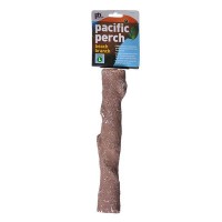 Prevue Pacific Perch - Beach Branch - Large - 11 in. Long - Large Birds