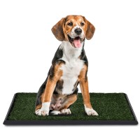 30 In. x 20 In. Pet Potty Training Toilet Grass Mat