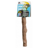 Prevue Pacific Perch - Beach Branch - Small - 7 in. Long - Small-Medium Birds