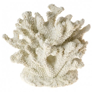 Exotic Environments Branch Coral Centerpiece - 1 Count