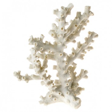 Exotic Environments Octopus Coral Ornament - White - 1 Count
