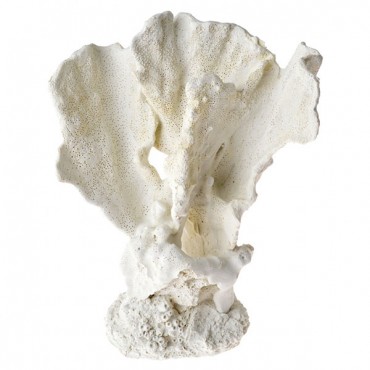 Exotic Environments Lettuce Coral Ornament - White - 1 Count