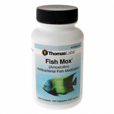 Thomas Labs - Fish Mox - 100 Tablets - 250 mg