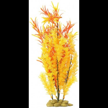 Aquatic Creations Hornwort Aquarium Plant - Orange and Red - 15 in. Tall