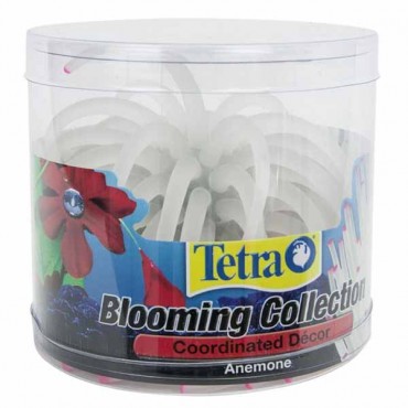 Tetra Blooming Collection Coordinated D?cor Anemone - 2.75 in. L x 3 in. W x 3 in. H - 2 Pieces