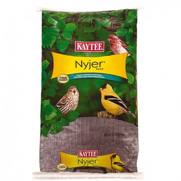 Kaytee Thistle Nyger Seed Bird Food - 20 lbs