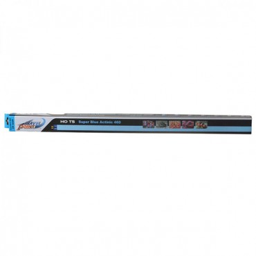 Wave-point HO-T 5 Blue Wave Actinium 460 mm Lamps - 24 Watts - 21 in. Lamp