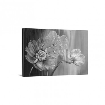 Poppies Wall Art - Canvas - Gallery Wrap
