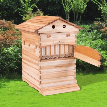 Beehive Frames Wooden House Bulk Honey Box Kit