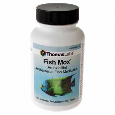 Thomas Labs - Fish Mox - 30 Tablets - 250 mg
