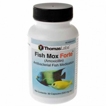 Thomas Labs - Fish Mox Forte - 30 Tablets - 500 mg