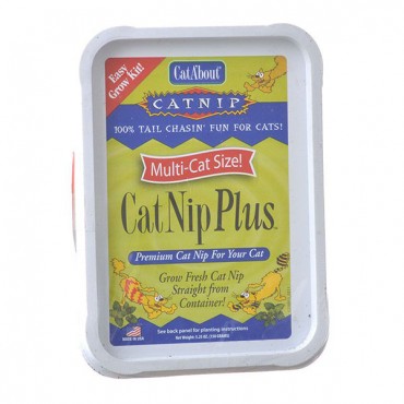 Catboat Catnip Plus Easy Grow Kit - 5.25 oz - 250 mg - Catnip Seed - 2 Pieces