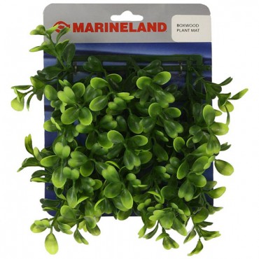 Marin-eland Boxwood Plant Mat - 5 in. Long x 5 in. Wide x 3 in. Tall - 2 Pieces