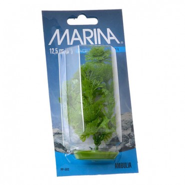 Marina Aquas caper Ambulia Plant - 5 in. Tall - 5 Pieces