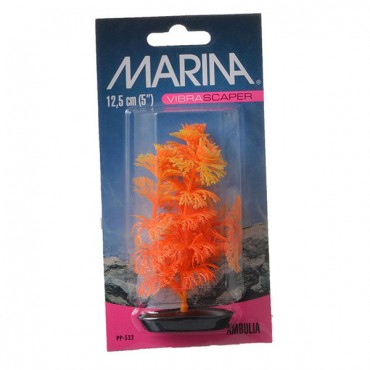 Marina Vibrascraper Ambulia Plant - Orange and Yellow - 5 in. Tall - 5 Pieces