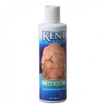 Kent Marine Coral Accel - 16 oz