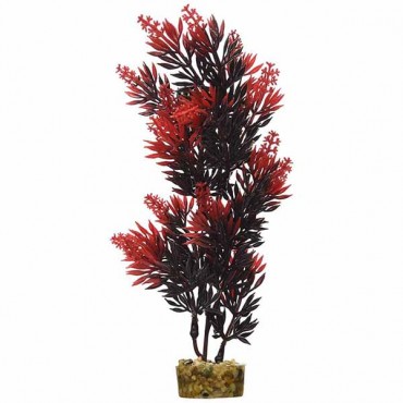 Blue Ribbon Bush Plant with Gravel Base - Red - 8 in. Tall - 2 Pieces