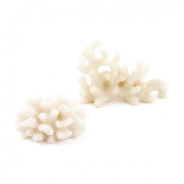 Coral Shaped Card Holders - Pack of 8