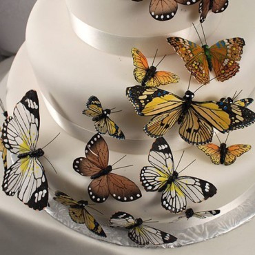 Hand Painted Butterfly - Pack of 24 Assorted Sizes 24