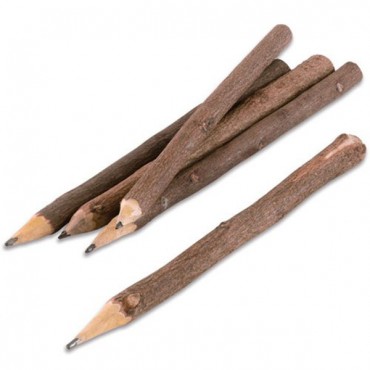 Rustic Wood Pencil Party Favor - Pack of 5 - 2 Pieces