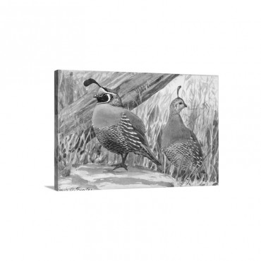 A Painting Of A Pair Of Quail Wall Art - Canvas - Gallery Wrap