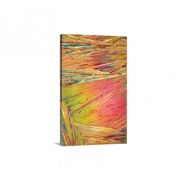 A photomicrograph A Picture Taken Through A Microscope Of Salicylic Acid Wall Art - Canvas - Gallery Wrap