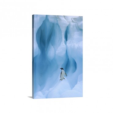 Adelie Penguin On Iceberg South Shetland Islands Antarctic Peninsula Wall Art - Canvas - Gallery Wrap