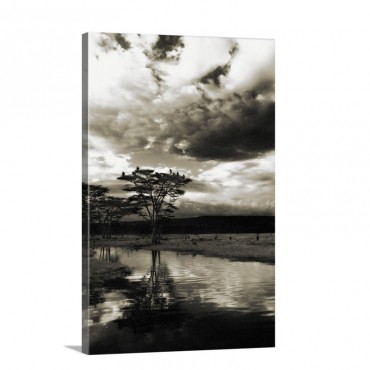 African Sunset Wall Art - Canvas - Gallery Wrap