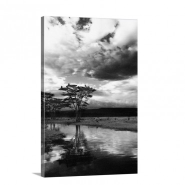 African Sunset Wall Art - Canvas - Gallery Wrap
