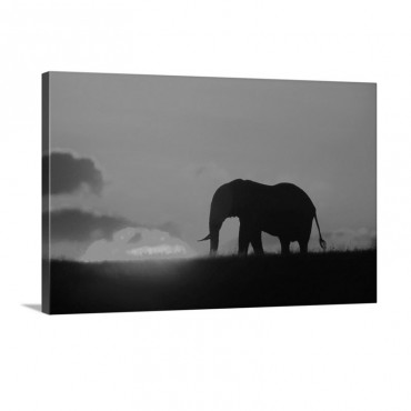 African Elephant Loxodonta Africana Silhouetted At Dawn Kenya Africa Wall Art - Canvas - Gallery Wrap
