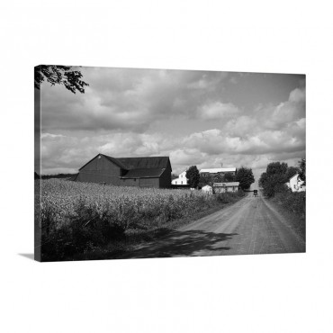 Amish Farm Buildings And Corn Field Along Country Road Ohio Wall Art - Canvas - Gallery Wrap