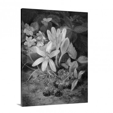 Autumn Flower With Blackberries By Josef Lauer Wall Art - Canvas - Gallery Wrap