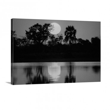 Awesome Wall Art - Canvas - Gallery Wrap
