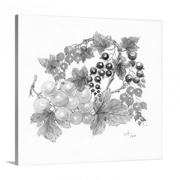 Black And Red Currants With Green Grapes 1986 Wall Art - Canvas - Gallery Wrap