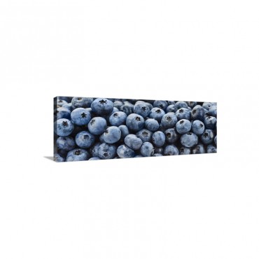 Blueberries Wall Art - Canvas - Gallery Wrap