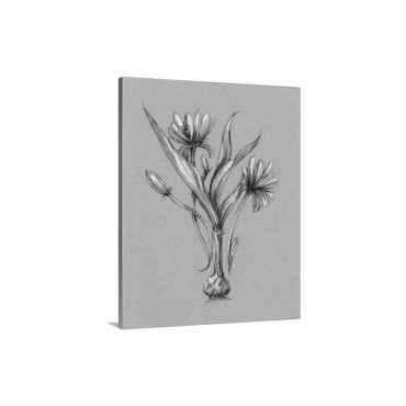 Botanical Sketch Black And White I I I Wall Art - Canvas - Gallery Wrap