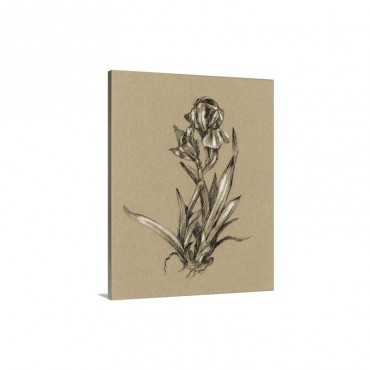 Botanical Sketch Black And White V I Wall Art - Canvas - Gallery Wrap