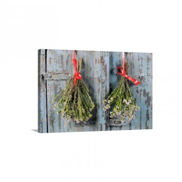 Bunches Of Thyme Hanging Up To Dry Wall Art - Canvas - Gallery Wrap