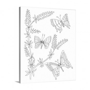 Butterflies And Flowers