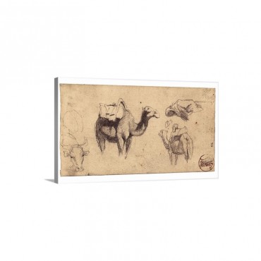 Camels Notes From The War Of Hispano Moroccan War 1860 Wall Art - Canvas - Gallery Wrap