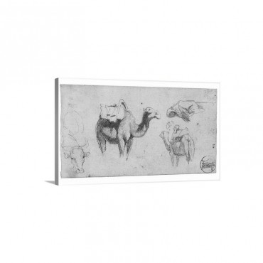 Camels Notes From The War Of Hispano Moroccan War 1860 Wall Art - Canvas - Gallery Wrap