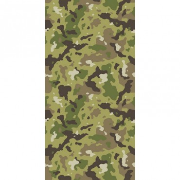 Camouflage I I