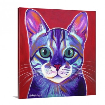 Cat Surprise Wall Art - Canvas - Gallery Wrap